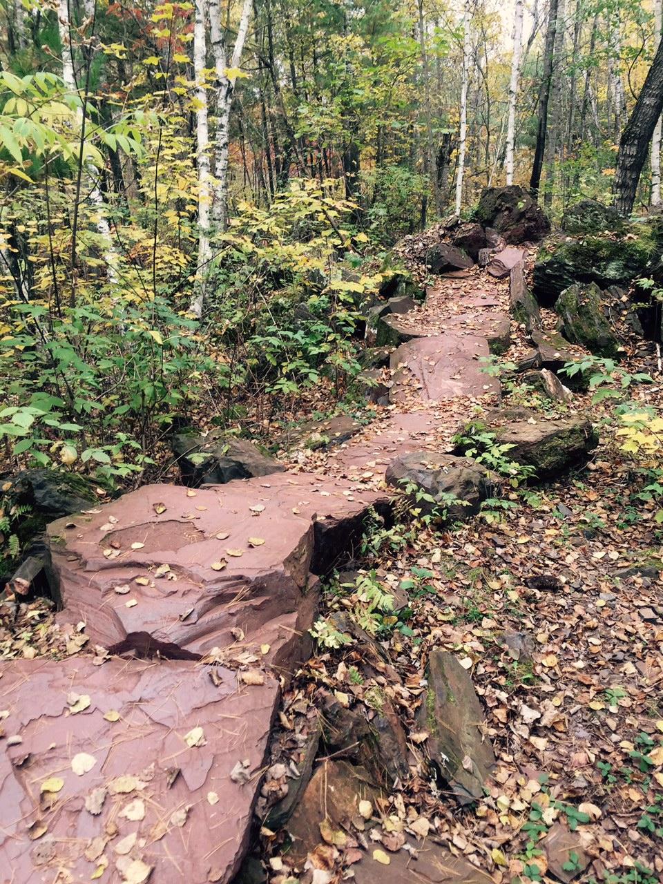 A winding stone path through a forest, surrounded by lush greenery and patches of colorful autumn leaves. Tall trees with white bark stand alongside the path, and fallen leaves cover the ground, creating a serene and natural atmosphere. Cuyuna Lakes mountain bike trail.