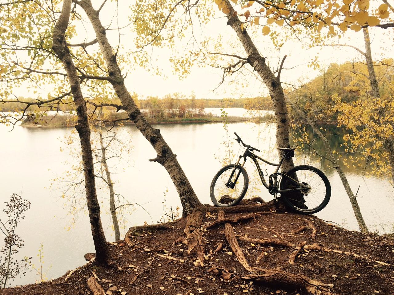 A mountain bike rests against a tree on a forested bank overlooking a calm lake, surrounded by autumn foliage with orange and yellow leaves. The scene captures a peaceful, natural environment with trees leaning gracefully towards the water, reflecting the soft colors of the sky. Cuyuna Lakes mountain bike trail.