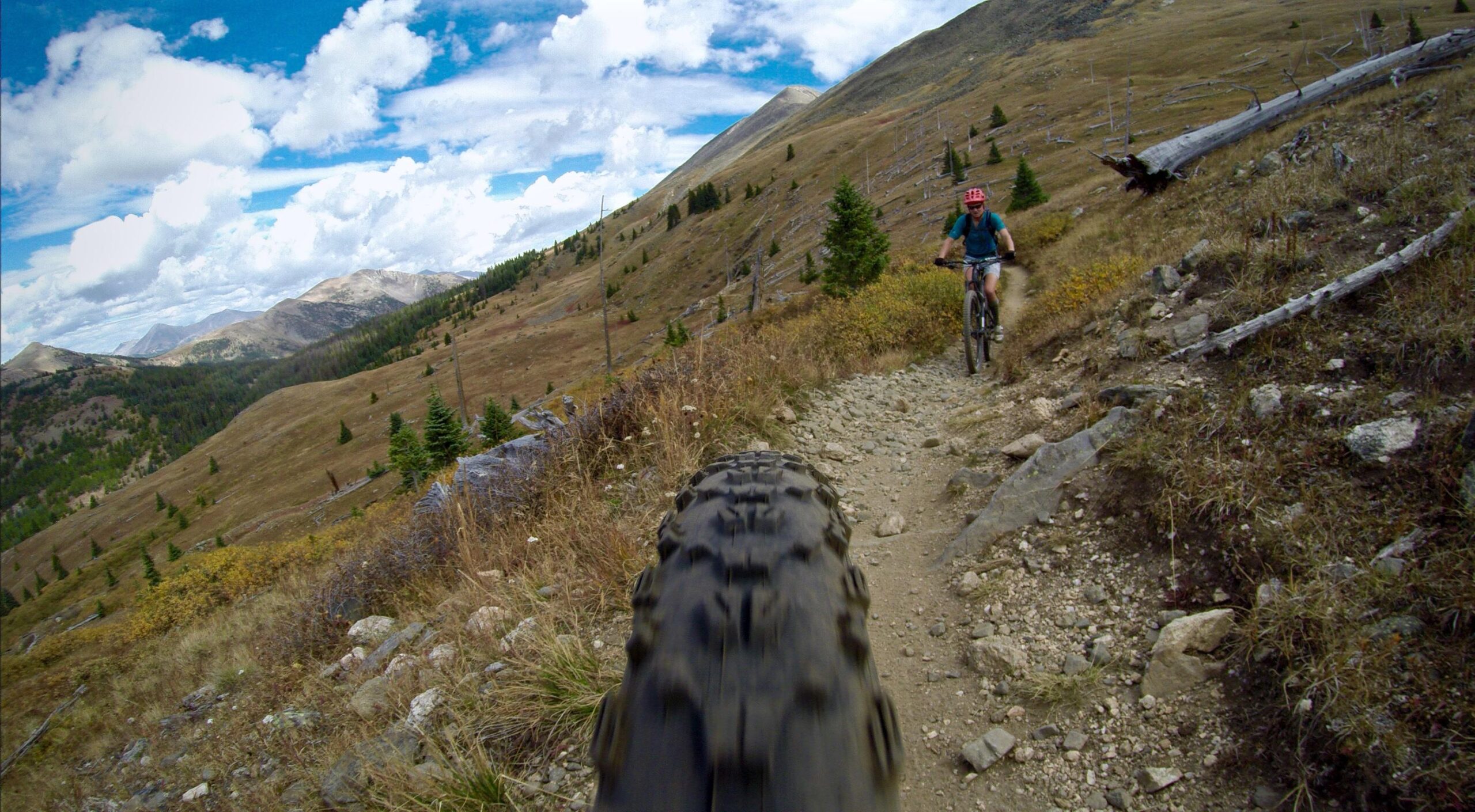 A mountain biker rides along a rocky trail surrounded by rolling hills and scattered trees under a dramatic sky filled with clouds. The foreground shows the tread of the bike tire, emphasizing the adventure and rugged terrain. Monarch Crest Trail mountain bike trail.