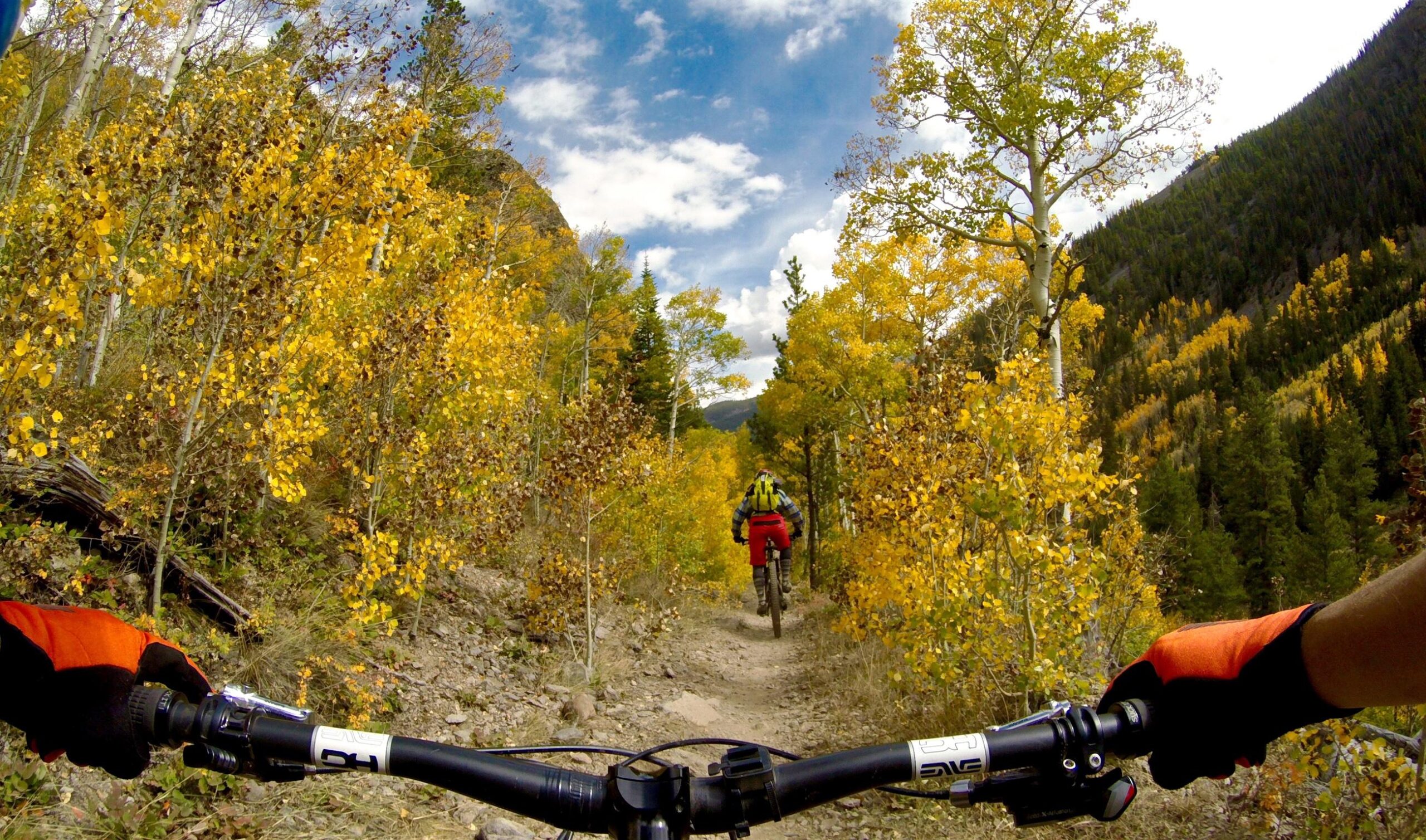 Mountain biking trail surrounded by vibrant autumn foliage. The view shows handlebars in the foreground and a cyclist ahead navigating a dirt path through yellow-leaved trees and green mountain slopes under a partly cloudy sky. Monarch Crest Trail mountain bike trail.