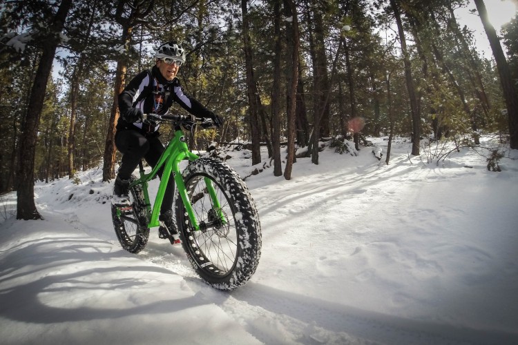 A person riding a green fat bike on a snowy trail in a forest, surrounded by tall trees. The rider is wearing a helmet and winter cycling gear, with sunlight filtering through the trees.