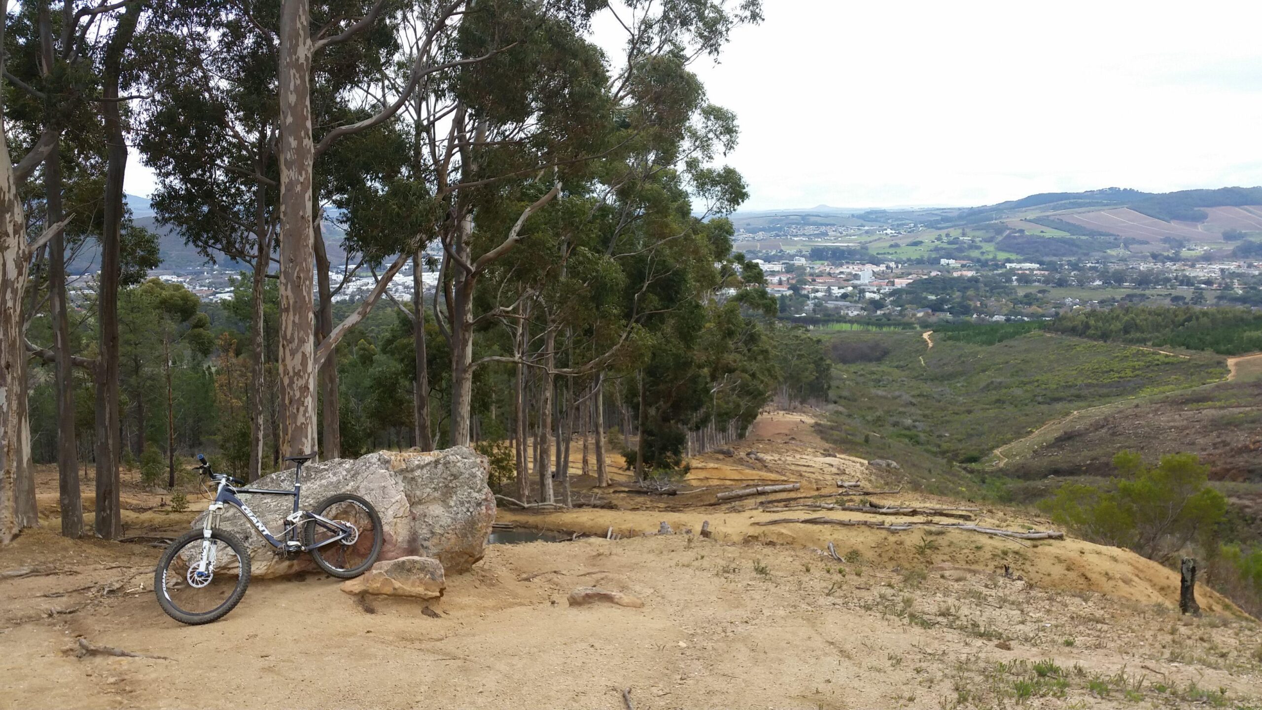 Giant Trance: A mountain bike resting on a large rock in a forested area, surrounded by tall eucalyptus trees. In the background, a scenic view of a valley and a town is visible, with hills and fields stretching into the distance under a cloudy sky.
