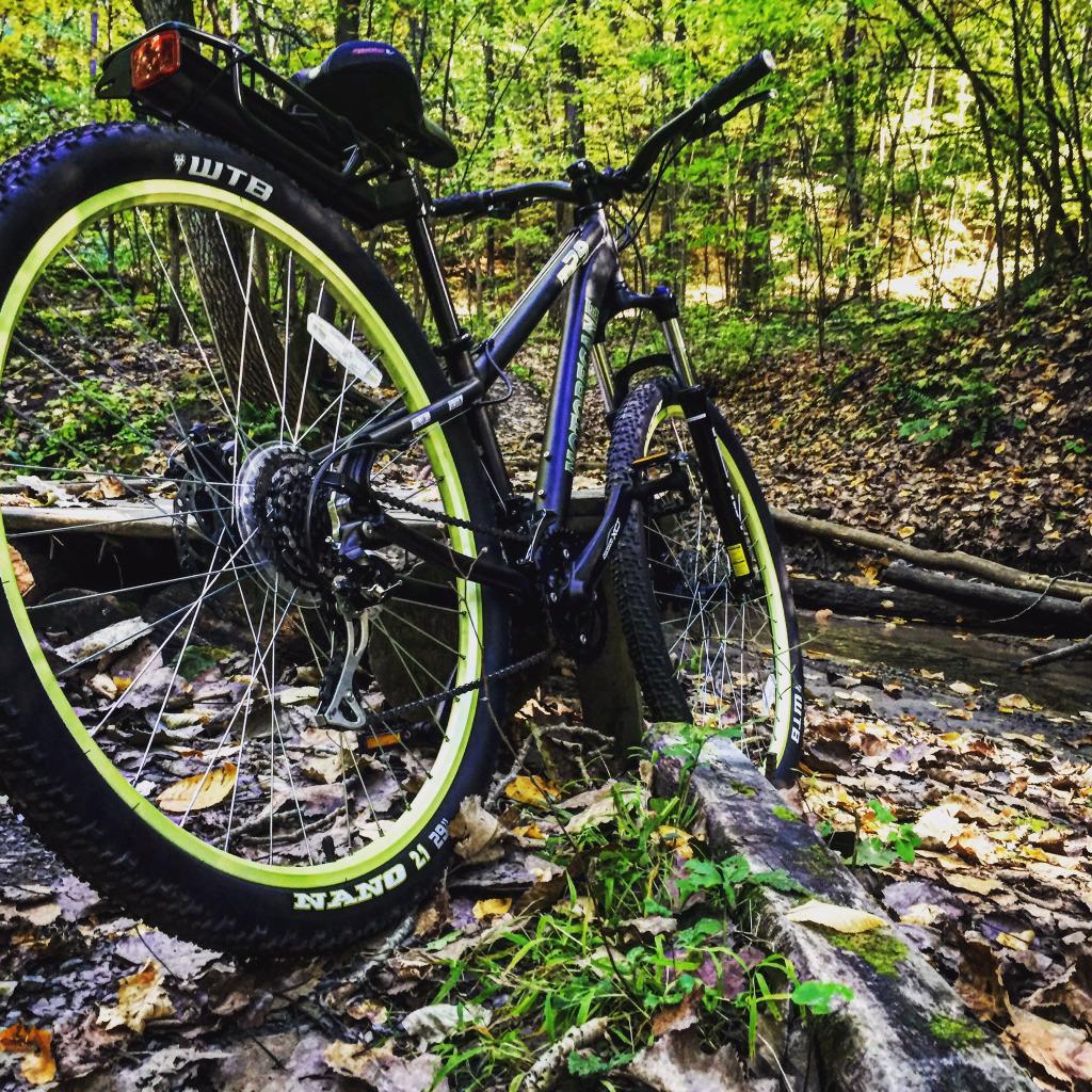 Motobecane Fantom29 Sport: A black mountain bike with yellow-trimmed tires is parked on a wooded trail, surrounded by fallen leaves and greenery. In the background, a small stream flows through the forest, and trees are lush with green foliage, indicating a serene outdoor setting.