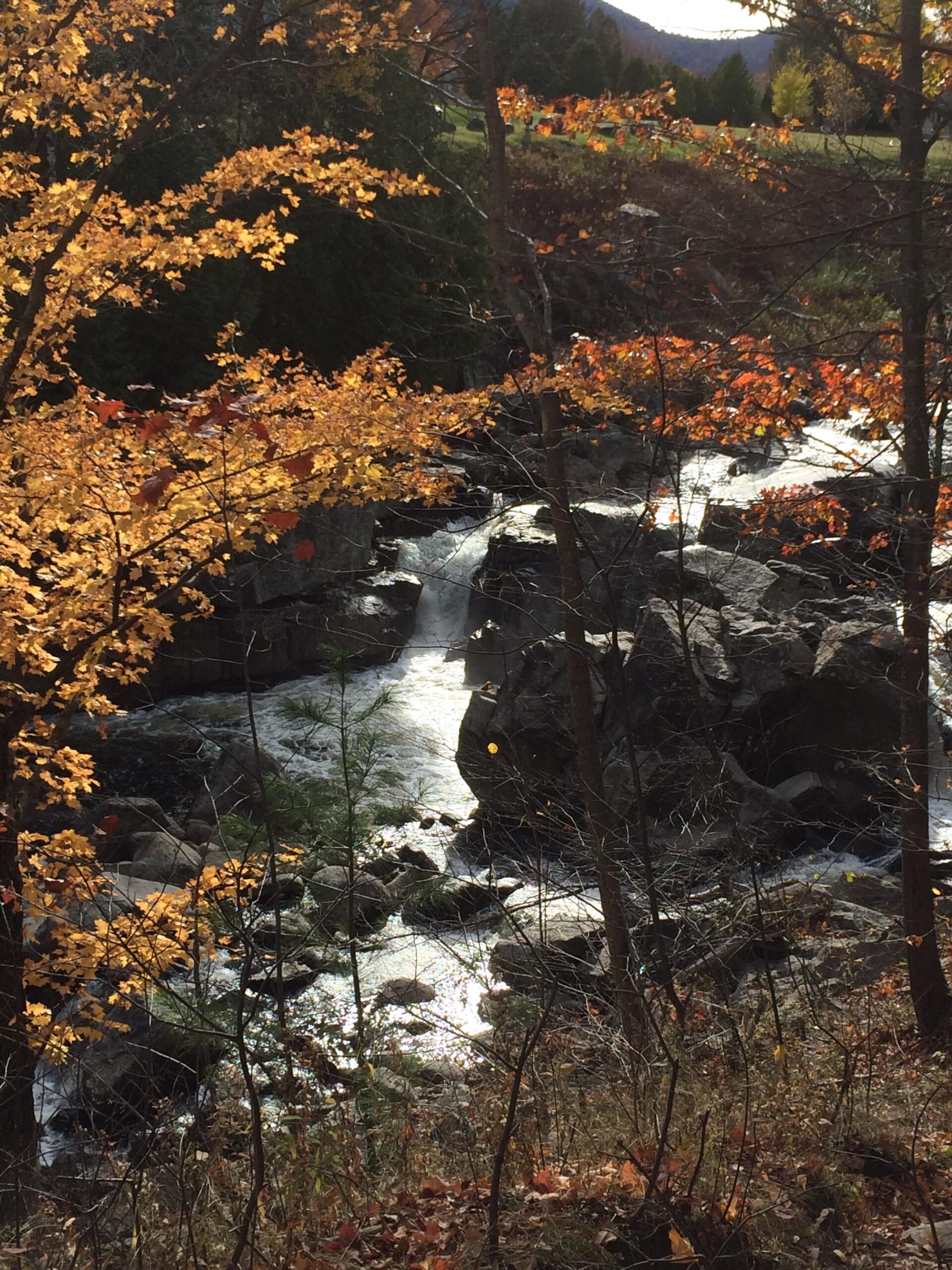 A serene landscape featuring a cascading waterfall surrounded by vibrant autumn foliage. The foreground includes orange and yellow leaves, with rocky terrain and flowing water visible. In the background, lush greenery and a distant mountain can be seen under a bright sky. Flume Trails mountain bike trail.