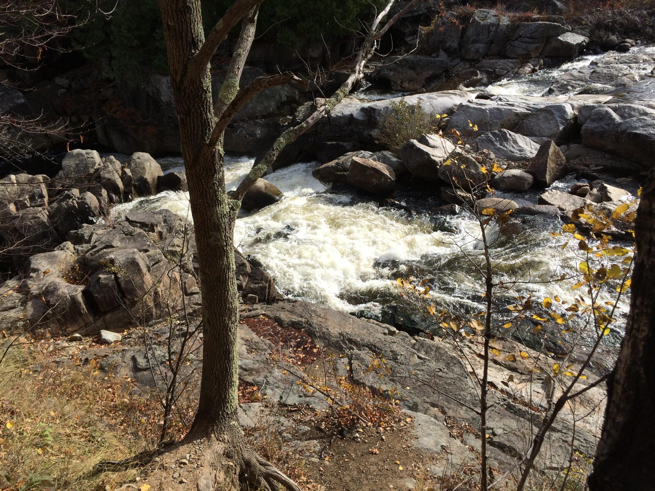 A scenic view of a rushing river flowing over rocky terrain, surrounded by trees. The water appears white and frothy as it cascades over boulders, with some autumn leaves scattered on the ground and lingering on the branches. The sunlight filters through the trees, illuminating the natural landscape. Flume Trails mountain bike trail.