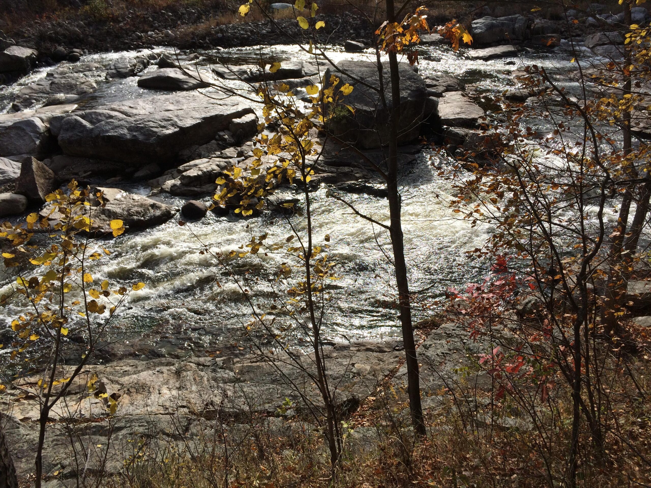 A flowing river surrounded by large rocks and trees with autumn leaves. The water reflects sunlight, creating a shimmering effect, while the scenery showcases colors of fall with yellow and red leaves among the greenery. Flume Trails mountain bike trail.