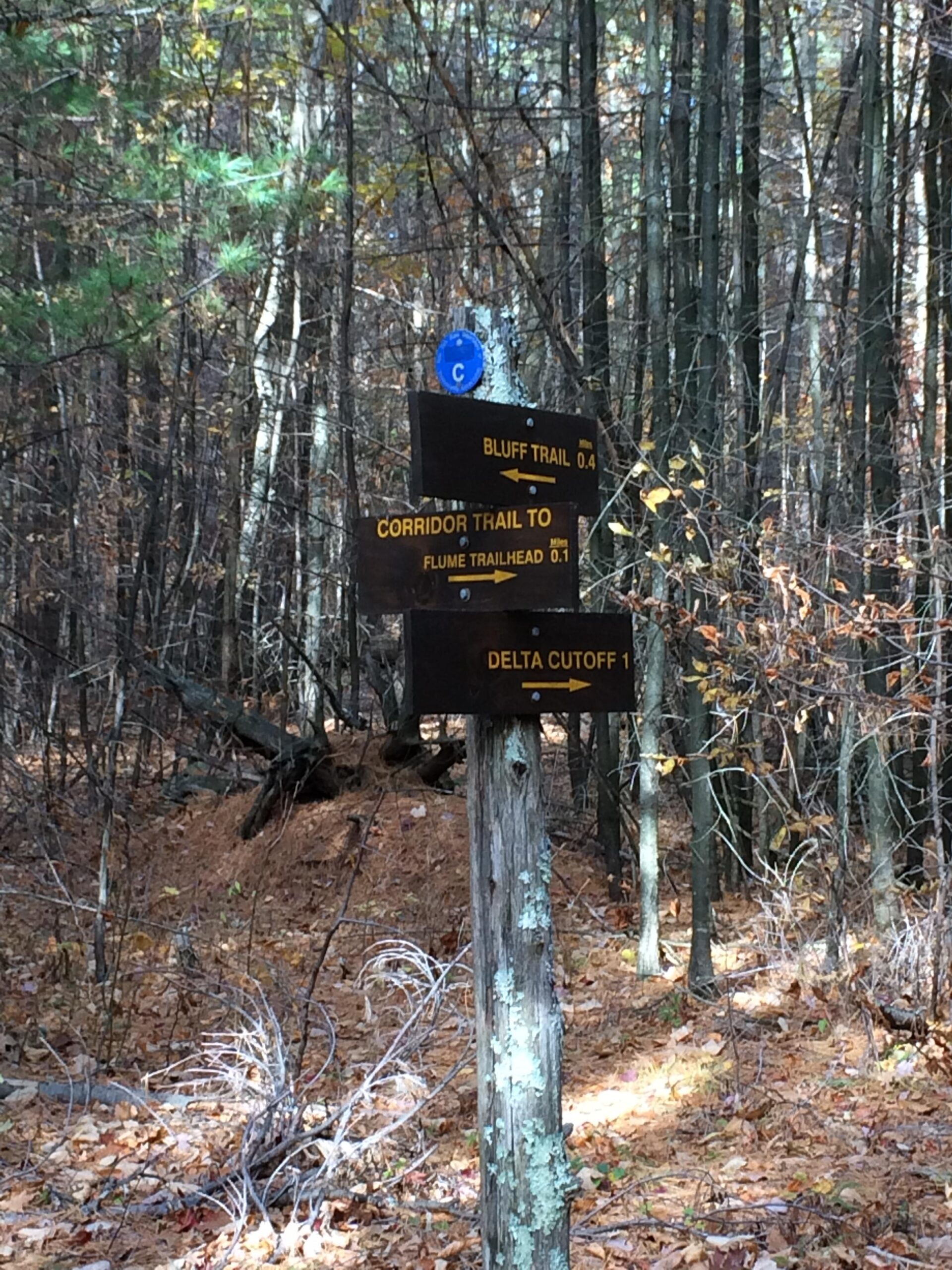 Alt tag: Wooden trail signpost in a forest, indicating directions to Bluff Trail (0.4 miles), Corridor Trail to Flume Trailhead (0.1 miles), and Delta Cutoff (1 mile), with a blue marker above the sign. Flume Trails mountain bike trail.