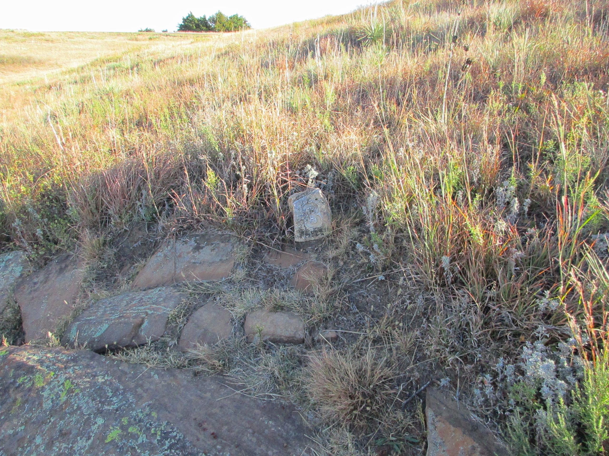 A weathered stone marker stands amidst tall grasses and rocky terrain, with a gentle slope leading to a distant horizon. The marker is slightly obscured by vegetation, indicating a natural landscape in late sunlight. Switchgrass mountain bike trail.