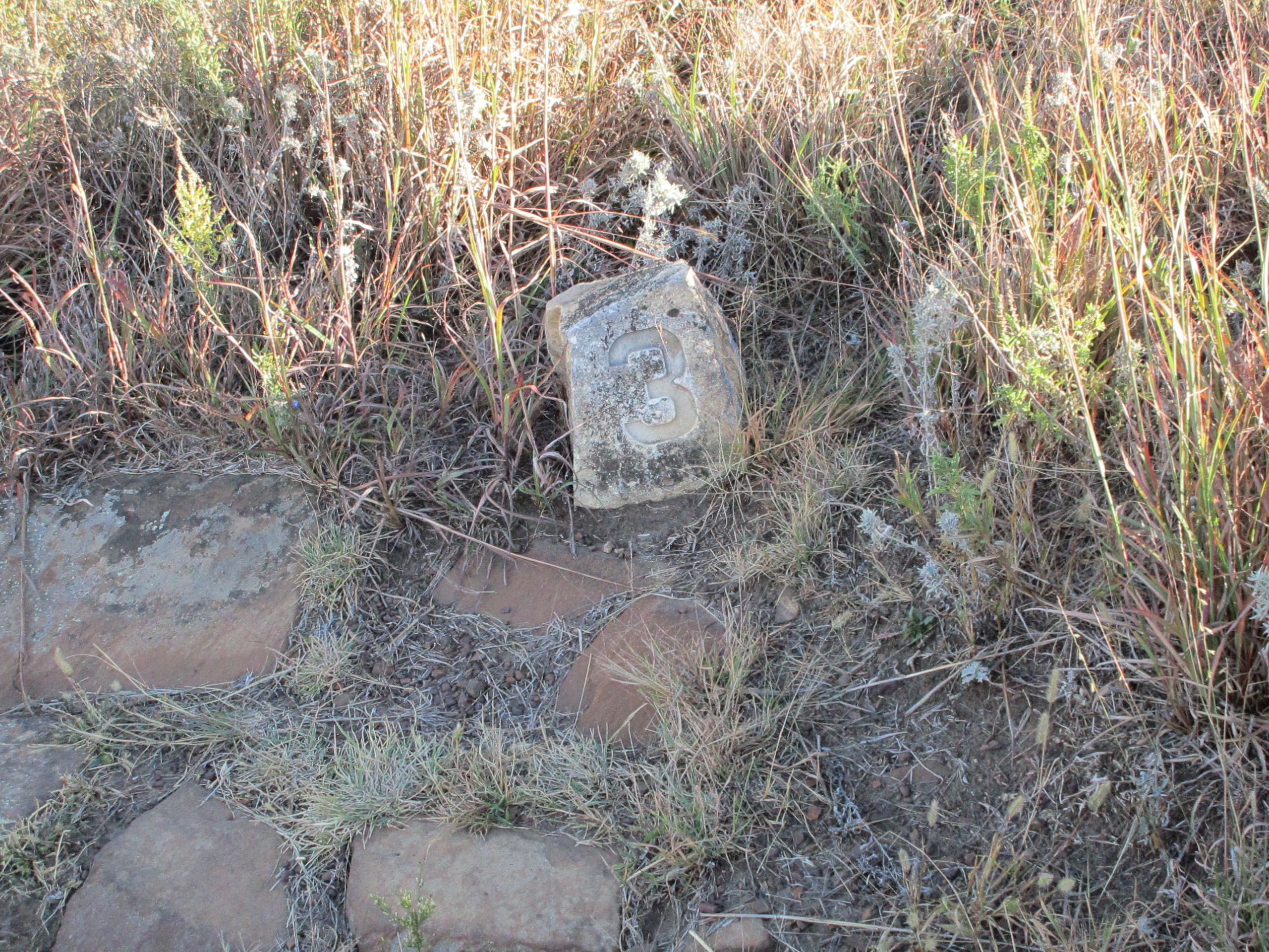 A weathered stone marker with the number "3" is partially embedded in grassy ground, surrounded by tall, dry vegetation and scattered rocks. Switchgrass mountain bike trail.