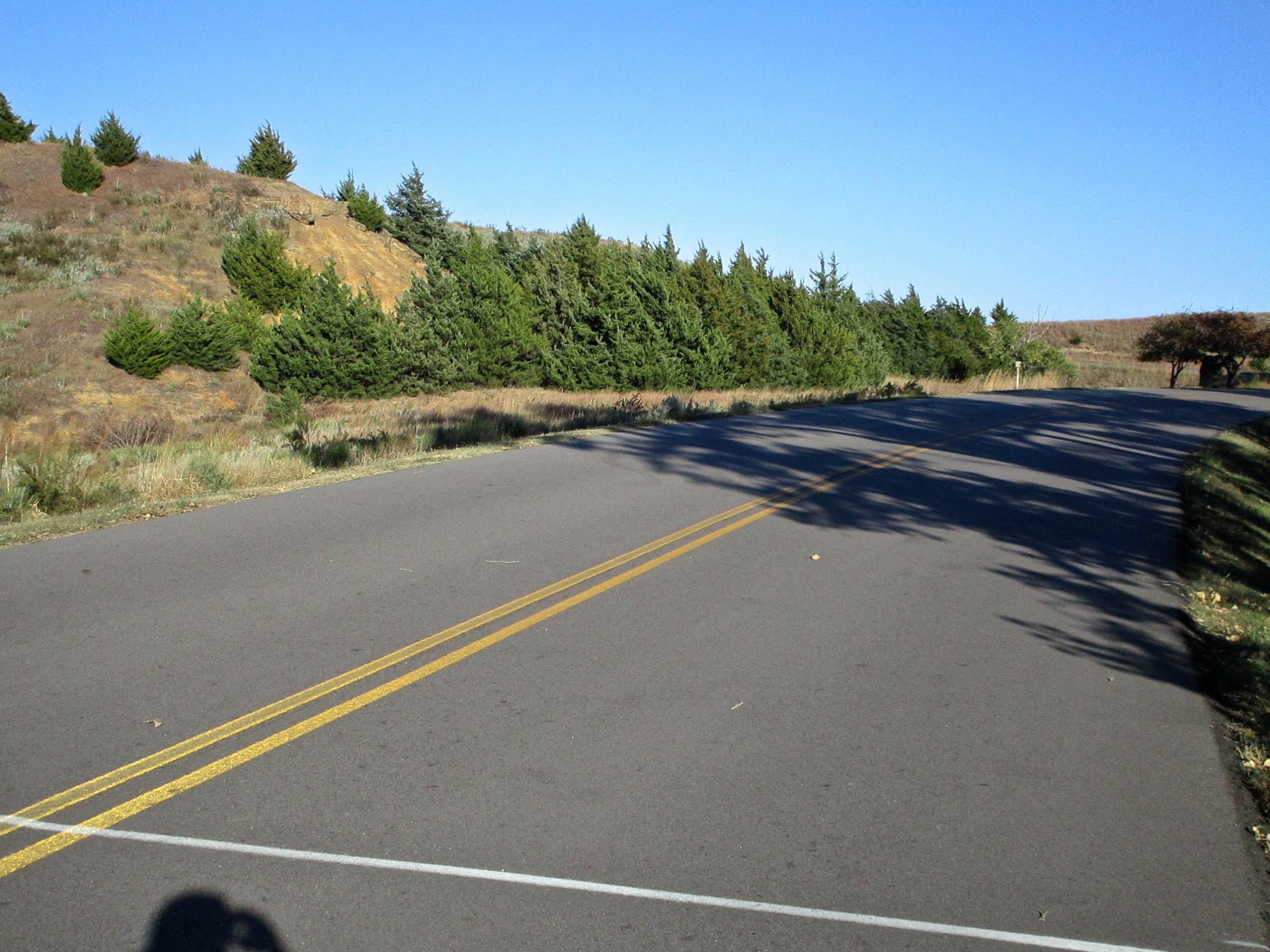 A winding rural road lined with trees and shrubs on either side under a clear blue sky. The asphalt is marked with double yellow lines, indicating two-way traffic, and a shadow of a person is visible in the foreground. The landscape features a gentle slope with foliage in the background. Switchgrass mountain bike trail.