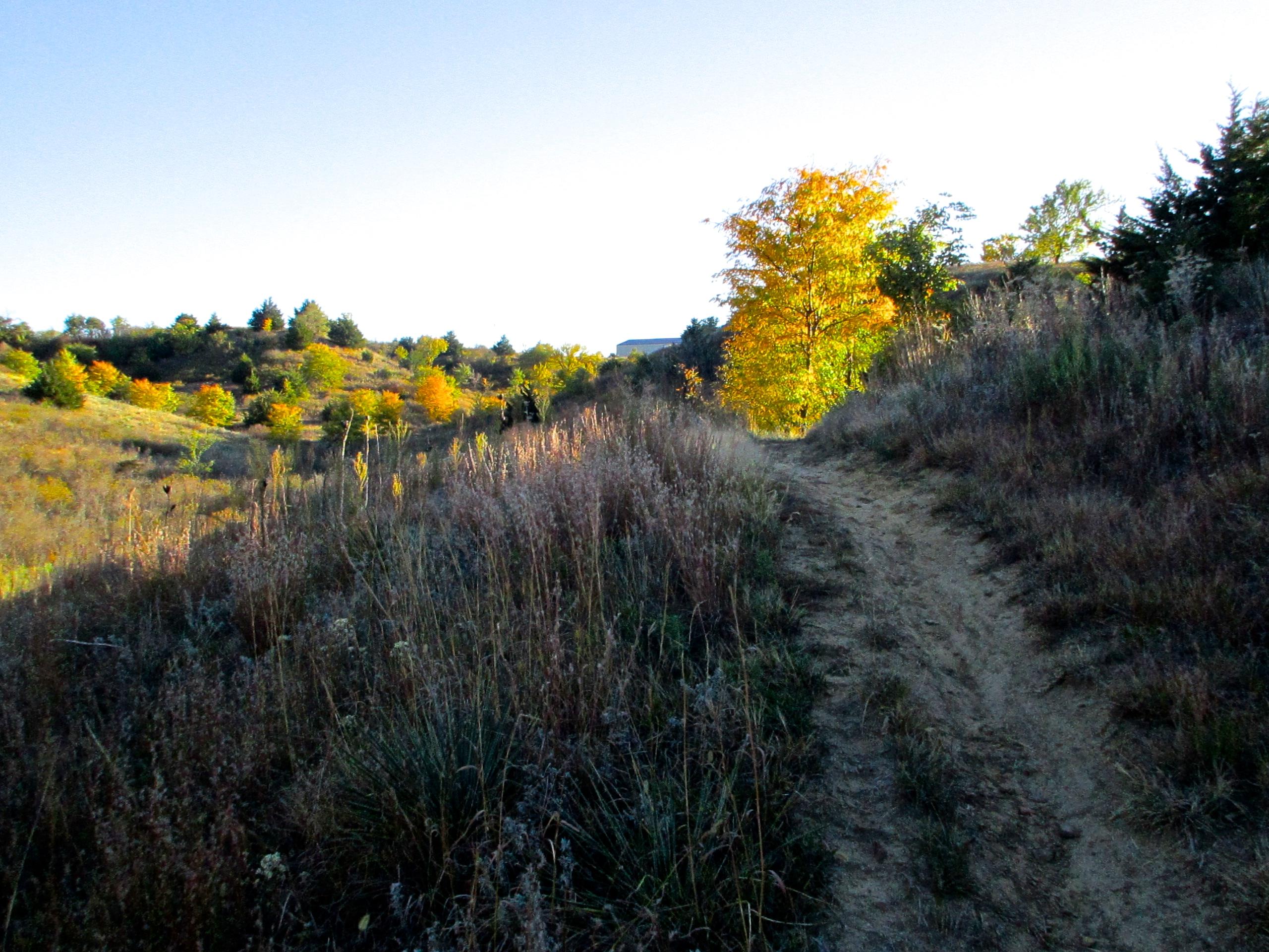 A winding dirt path leads through a grassy landscape with gentle hills, showing a variety of trees in autumn colors under a clear blue sky. Switchgrass mountain bike trail.