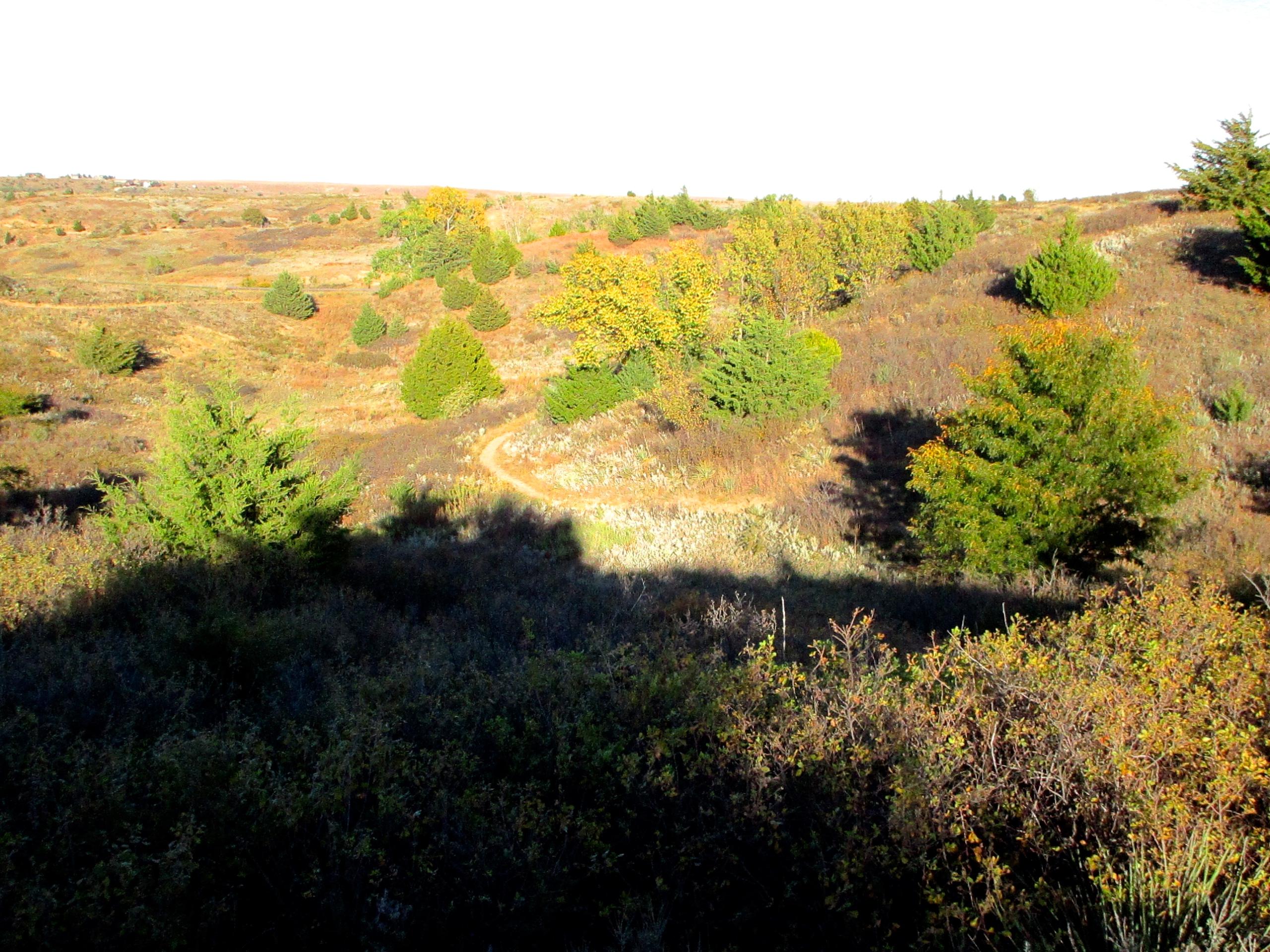 Scenic view of a hilly landscape during autumn, featuring shrubs and trees with changing foliage colors in shades of green and gold. A winding dirt path cuts through the terrain, showcasing the natural beauty of the area. The sky above is bright, suggesting a clear day. Switchgrass mountain bike trail.