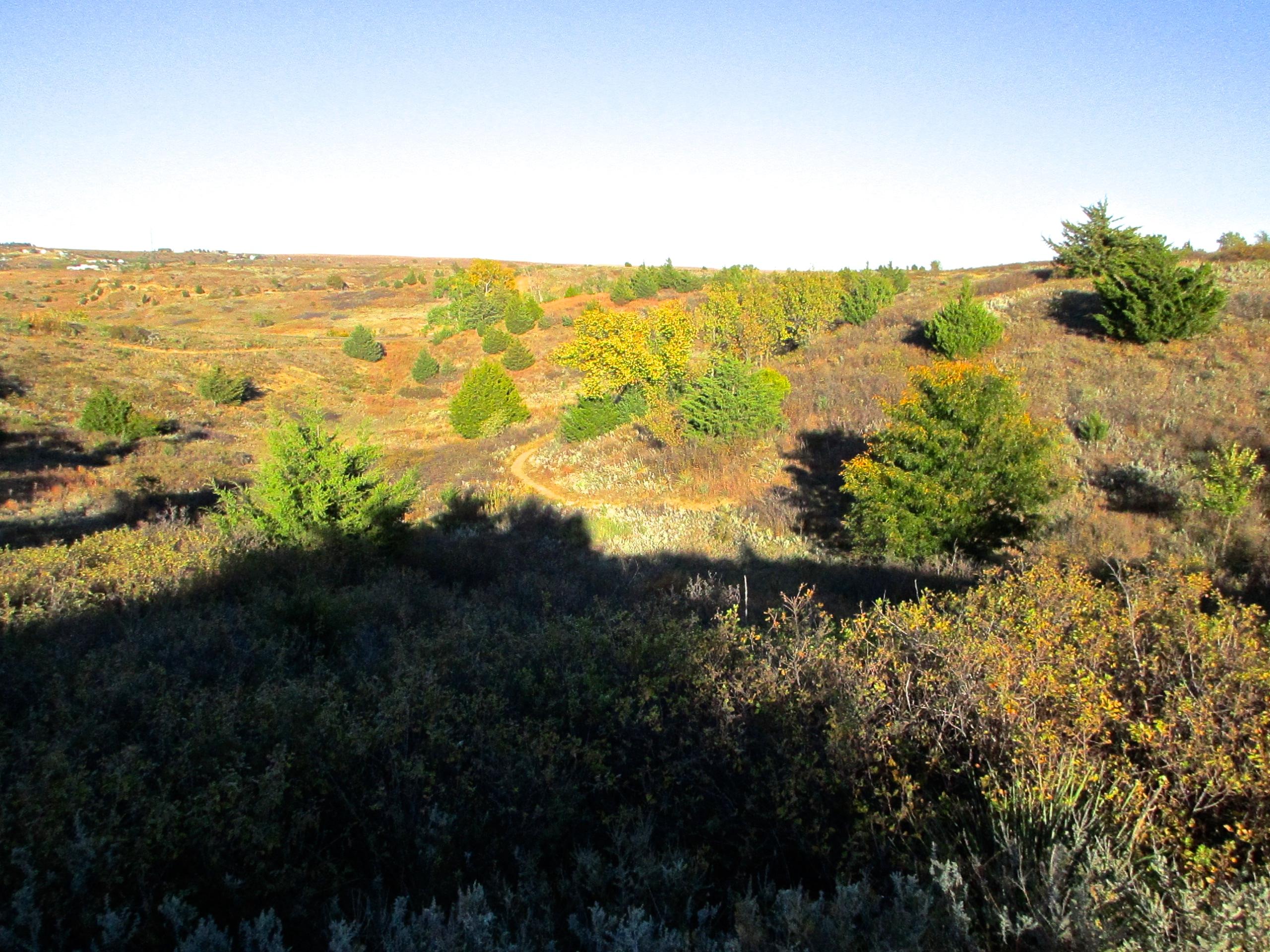 A scenic view of rolling hills covered in autumn foliage, featuring a mix of green coniferous trees and patches of golden and orange leaves, under a clear blue sky. A winding dirt path meanders through the landscape, showcasing the beauty of nature in the fall. Switchgrass mountain bike trail.
