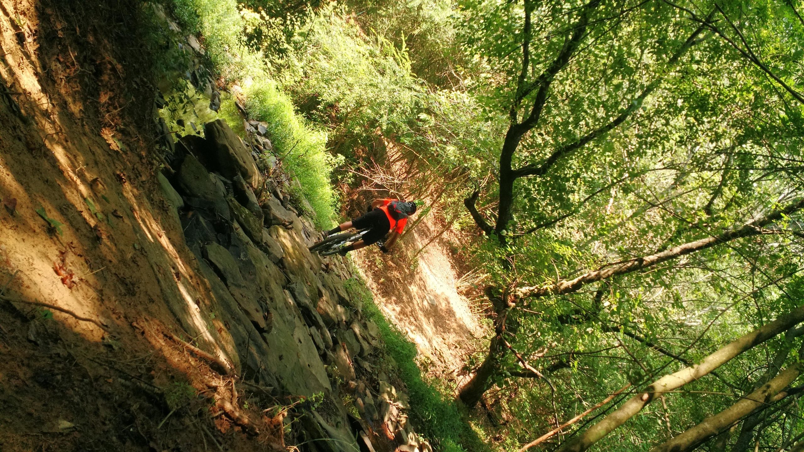 A mountain biker navigates a rocky trail surrounded by lush greenery and trees. The cyclist is wearing a bright orange shirt and riding downhill on a slope, showcasing an action-packed moment in nature. Duck River mountain bike trail.