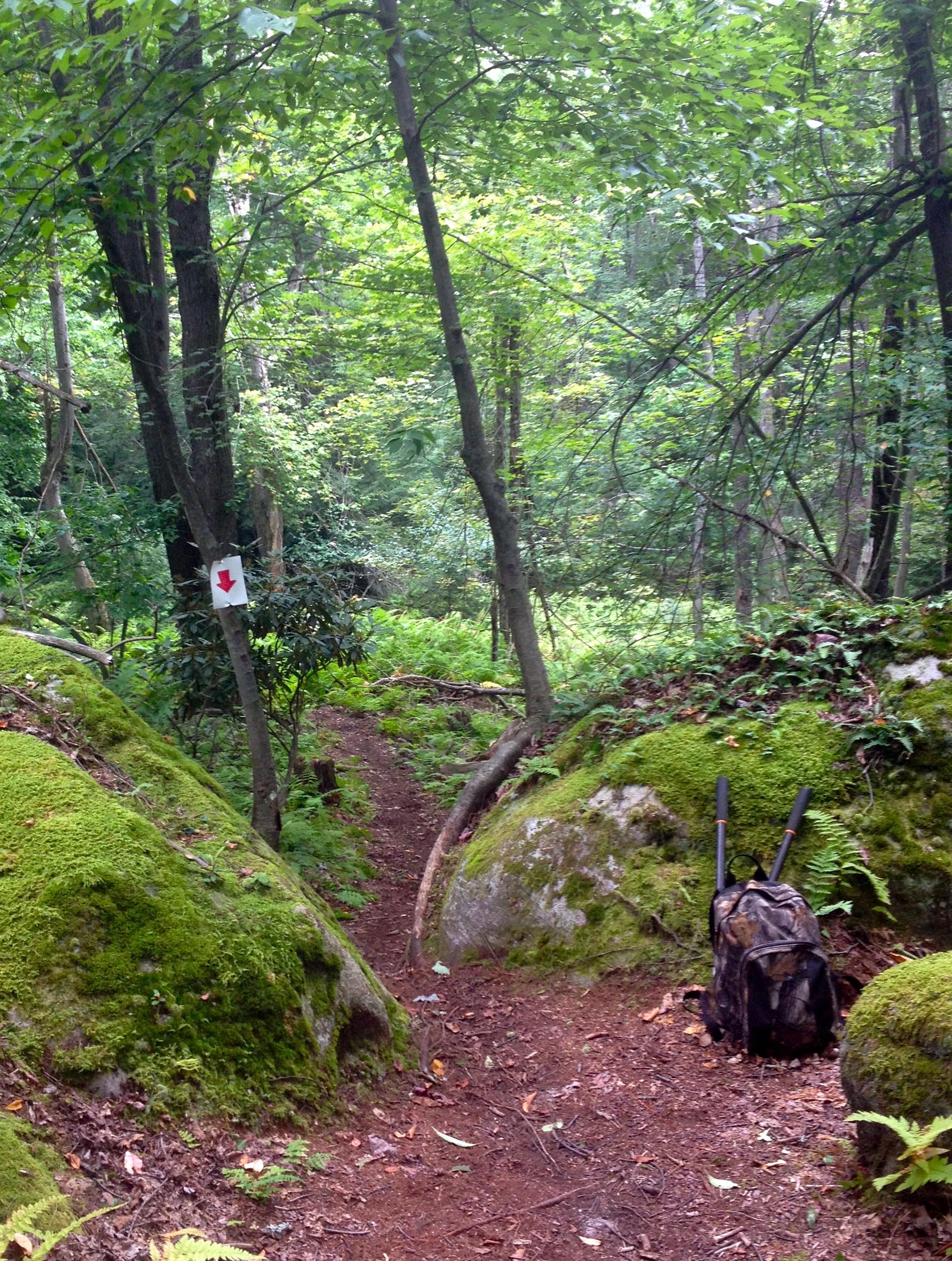 A dirt trail winding through a dense forest, flanked by moss-covered rocks and lush green foliage. A backpack sits on the ground to the right, and a directional sign with a red arrow points along the path ahead. The atmosphere is serene and natural, indicative of a hiking or outdoor adventure scene. Big Bear Lake Trail Center mountain bike trail.