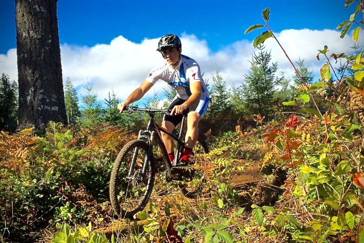 A young cyclist in a blue and white jersey riding a mountain bike through a colorful forest trail, surrounded by green ferns and trees under a bright blue sky with clouds.
