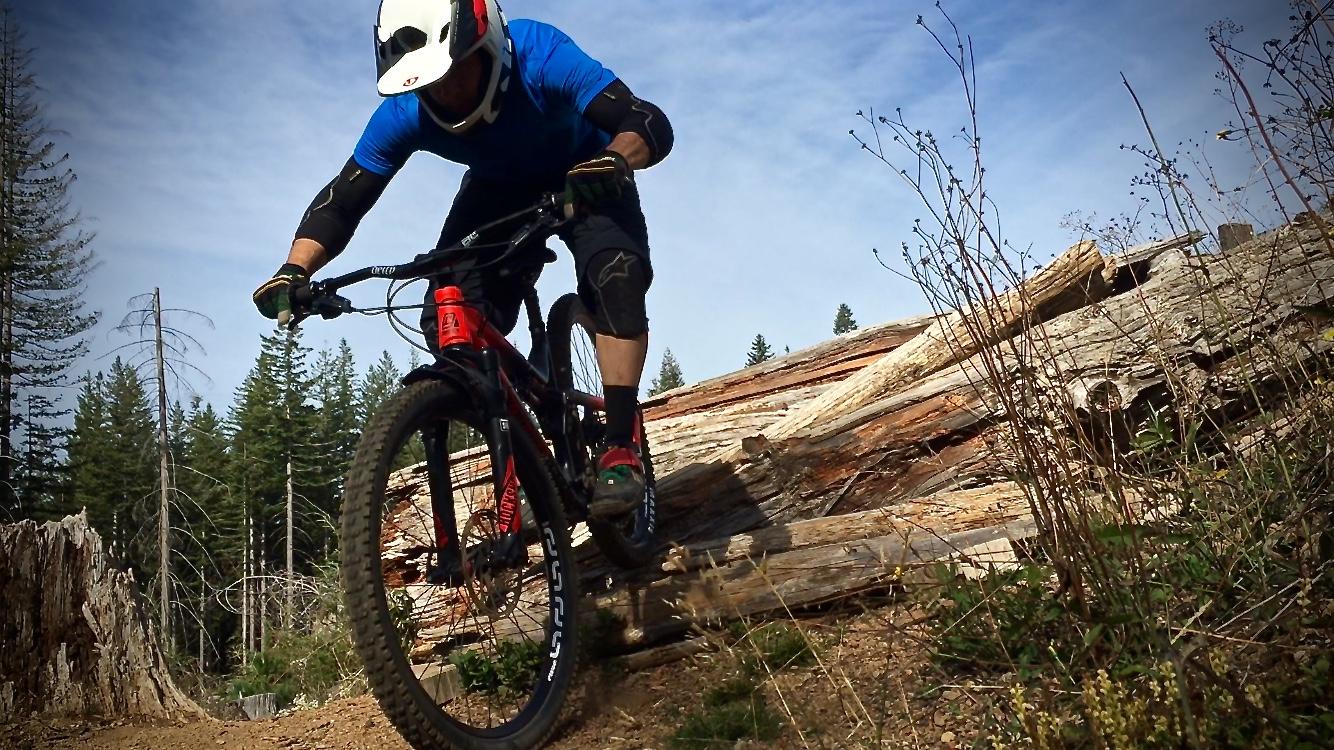 A mountain biker in a blue shirt and helmet navigates over a large log on a dirt trail, surrounded by trees and foliage. The biker is in an action pose, showcasing agility and skill in a natural outdoor setting. Cold Creek mountain bike trail.