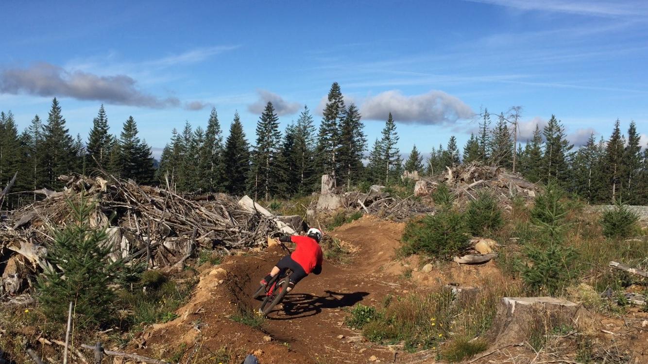 A mountain biker in a red shirt maneuvers around a dirt trail in a forested area, surrounded by pine trees and scattered debris from logging. The sky is clear with a few clouds, and the landscape shows signs of recent tree removal, while the biker leans into a turn on the track. Cold Creek mountain bike trail.