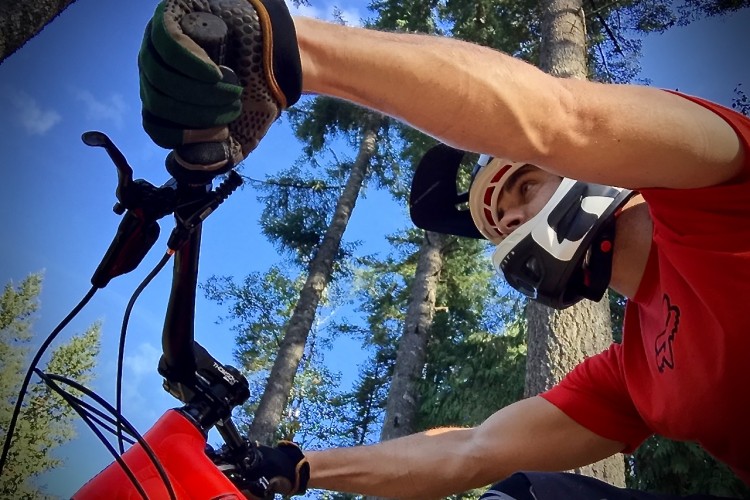 A cyclist wearing a helmet and gloves leans forward on a mountain bike in a forested area, with tall trees and blue sky in the background. The rider's focus is on navigating the trail ahead.