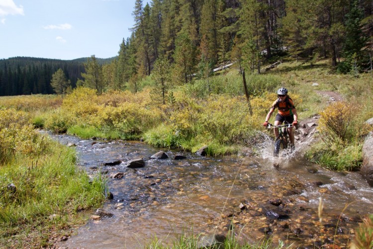 A mountain biker rides through a shallow stream in a lush green landscape, surrounded by trees and yellow flowering plants under a bright blue sky.
