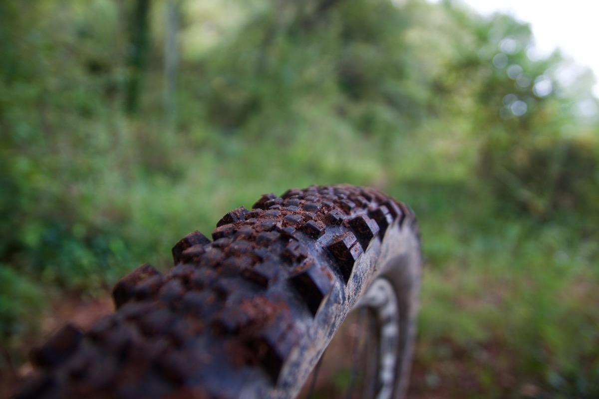 Maxxis Minion SS: A close-up view of a muddy, textured mountain bike tire with distinctive tread patterns, set against a blurred green forest background.