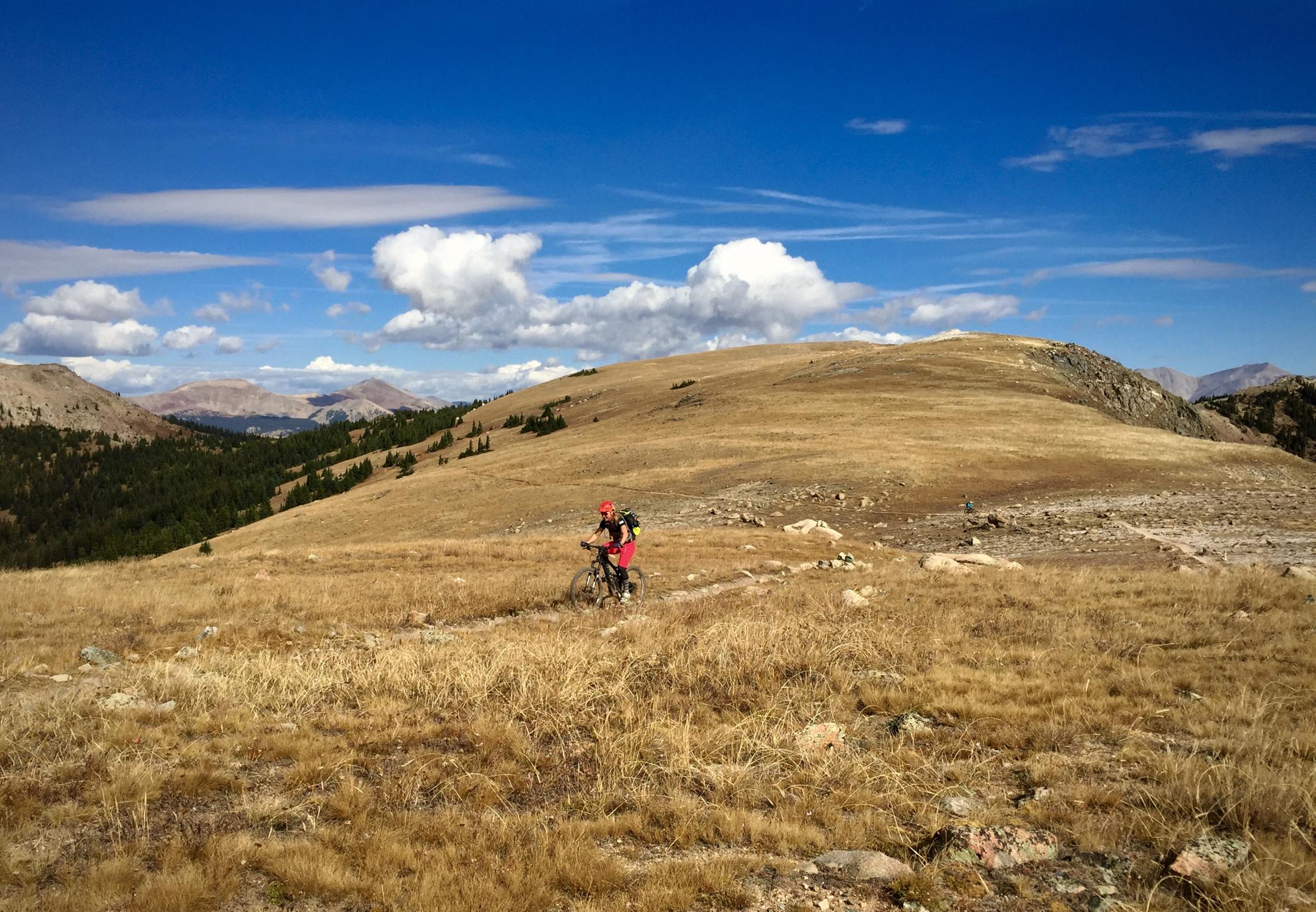A mountain biker rides along a dirt trail in a grassy landscape, with rolling hills and scattered rocks in the foreground. Lush green trees are visible in the background, and a blue sky filled with fluffy white clouds stretches above the scene. Monarch Crest Trail mountain bike trail.