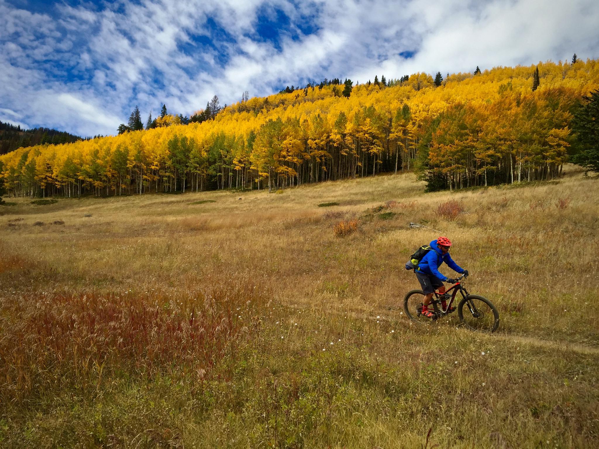 A mountain biker riding along a dirt trail through a meadow, surrounded by golden autumn foliage on the hillside and a backdrop of blue sky with scattered clouds. Monarch Crest Trail mountain bike trail.