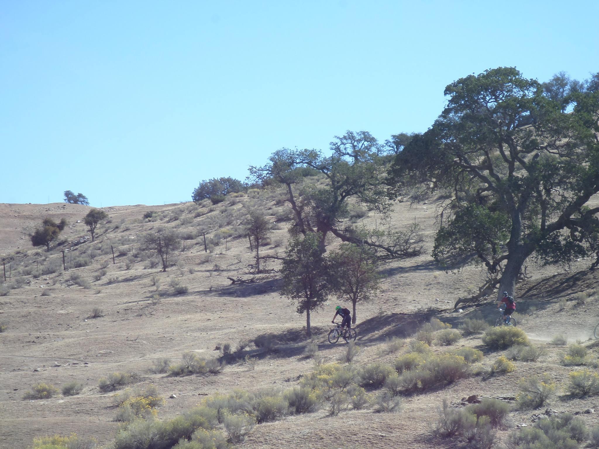 A sunny landscape featuring a dry, hilly terrain with sparse vegetation. Two mountain bikers navigate a dirt trail, one riding near a large oak tree, while the other is slightly behind, surrounded by low shrubs and scattered trees. The clear blue sky completes the outdoor scene. TMTA Lehigh trails mountain bike trail.