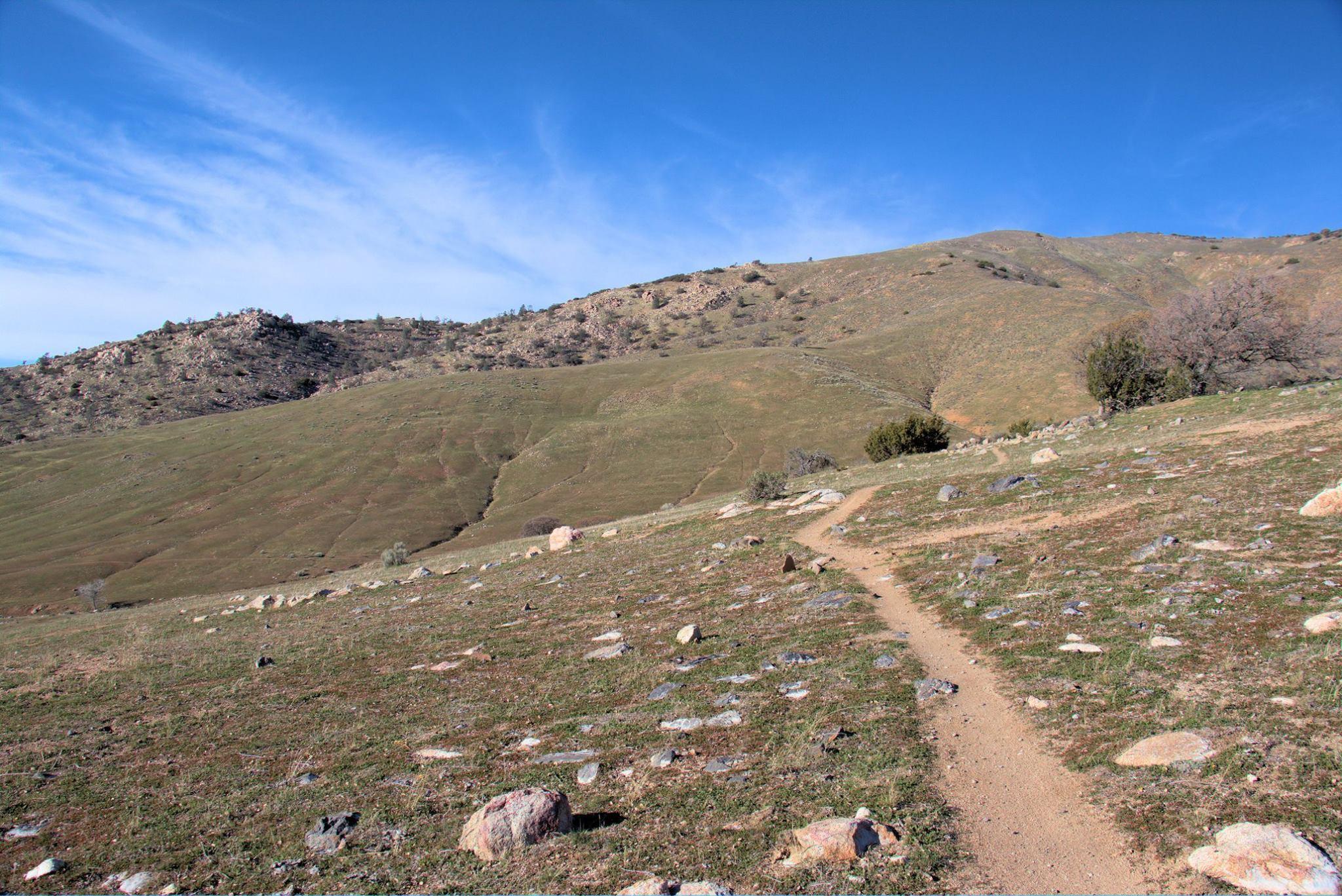 A winding dirt path leading through a grassy landscape filled with scattered rocks, with rolling hills in the background under a clear blue sky. TMTA Lehigh trails mountain bike trail.