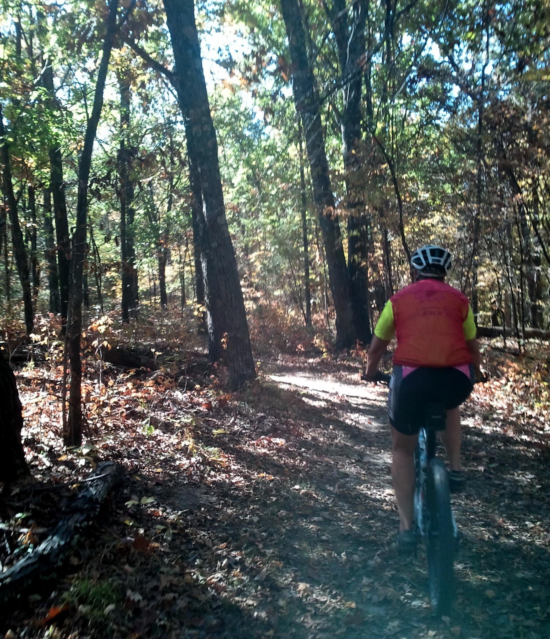 A cyclist riding on a wooded trail surrounded by trees and autumn foliage. The path is lined with fallen leaves, and sunlight filters through the branches, creating a serene atmosphere. The cyclist is wearing a bright vest and shorts, focusing on the trail ahead. Old Schoolhouse mountain bike trail.