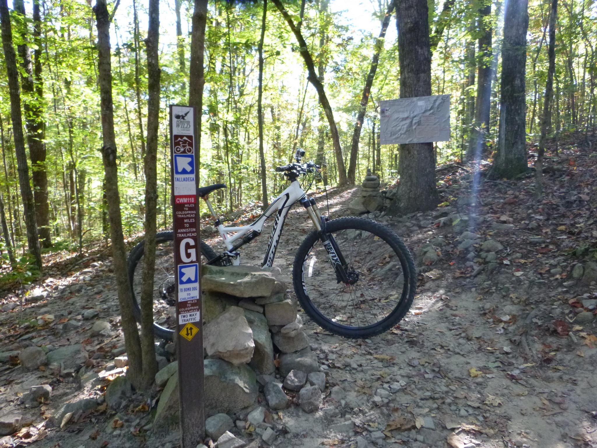 A mountain bike leaning against a rock formation near a trail sign in a wooded area. The sign includes directions and symbols for biking trails, and there is a map displayed on a nearby tree. Sunlight filters through the trees, creating a serene outdoor atmosphere. Coldwater Mountain mountain bike trail.