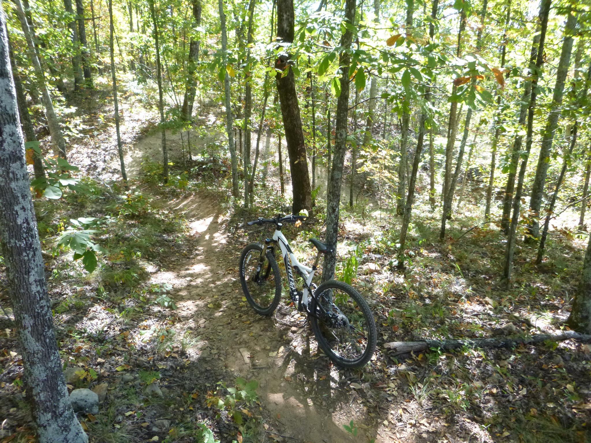 A mountain bike rests on a dirt trail winding through a dense forest. Sunlight filters through the green leaves of the trees, illuminating the surrounding foliage and showcasing the natural beauty of the woodland environment. Coldwater Mountain mountain bike trail.