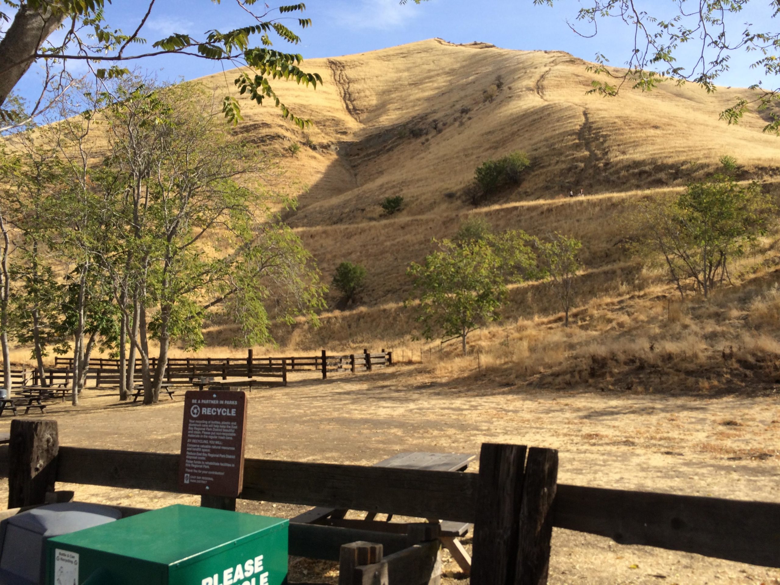 Landscape featuring rolling hills with dry grass, framed by trees in the foreground. A recycling bin and a park sign are visible, along with wooden fencing in a park setting. The sky is clear and blue. Black Diamond Mines mountain bike trail.