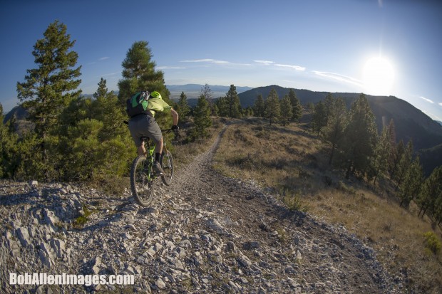 A mountain biker riding along a rocky trail surrounded by trees, with a scenic view of hills and a bright sun in the background.