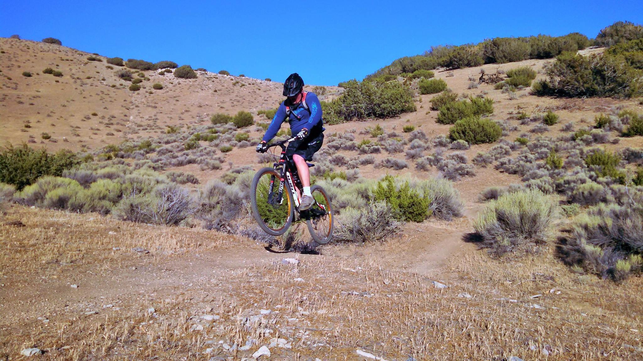 A mountain biker wearing a helmet and protective gear is jumping over a small rock on a dirt trail surrounded by sagebrush and sparse vegetation on a sunny day. The background features rolling hills under a clear blue sky. TMTA Lehigh trails mountain bike trail.