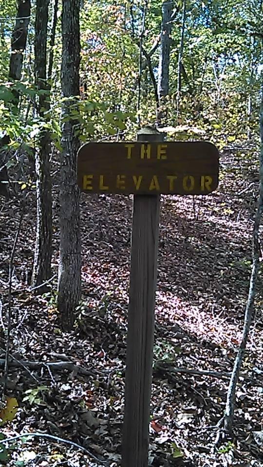 Wooden sign reading "THE ELEVATOR" in a forested area with trees and fallen leaves visible in the background. Swayback Bridge Trail mountain bike trail.