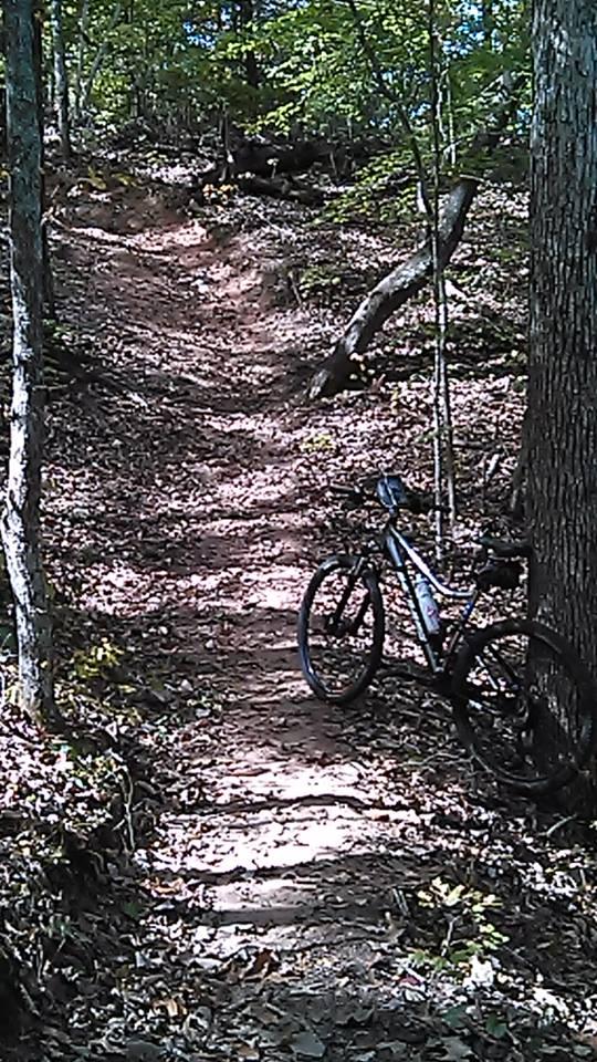 A mountain bike rests beside a dirt trail winding through a wooded area. The trail is surrounded by autumn foliage, with fallen leaves on the ground, and a steep incline is visible ahead. Sunlight filters through the trees, creating a dappled effect on the path. Swayback Bridge Trail mountain bike trail.