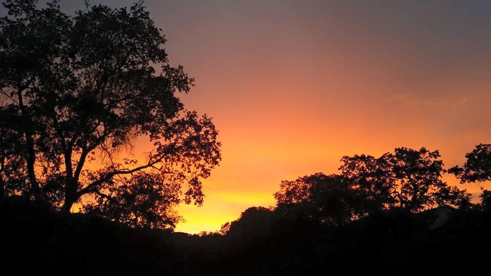 A vibrant sunset featuring orange and yellow hues in the sky, with dark silhouettes of trees in the foreground. TMTA Lehigh trails mountain bike trail.