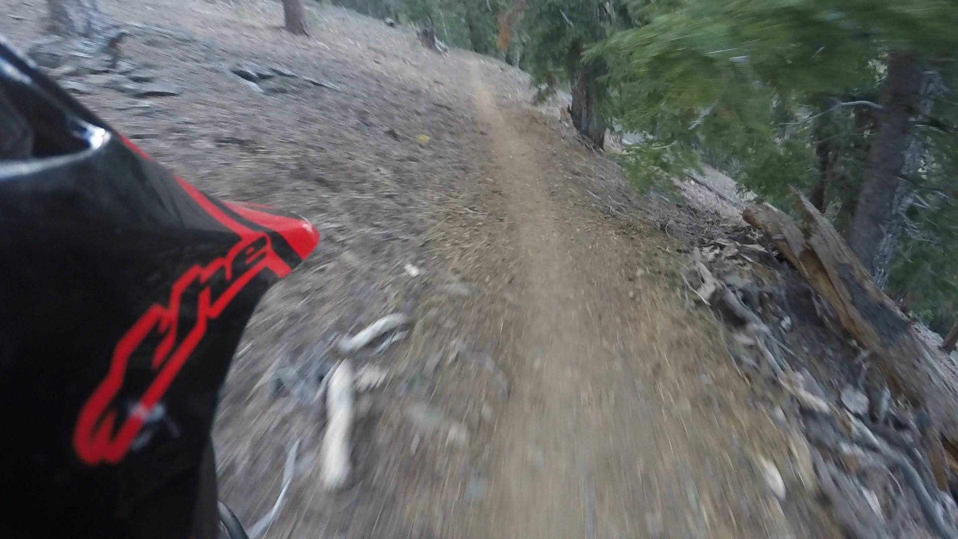 An action shot showing a view from a mountain bike rider