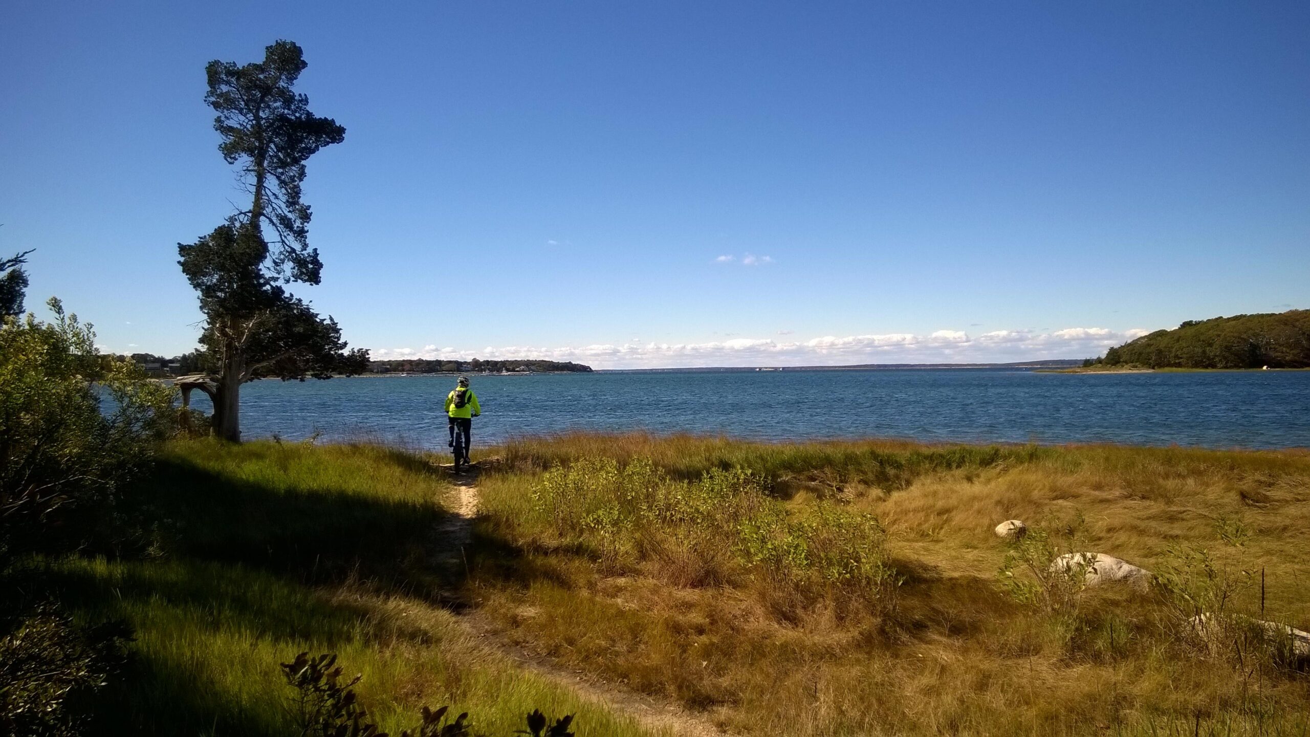 A cyclist in a bright yellow jacket riding along a grassy path beside a serene blue body of water, with clear skies and a distant shoreline dotted with trees and buildings. Little Bay/monk