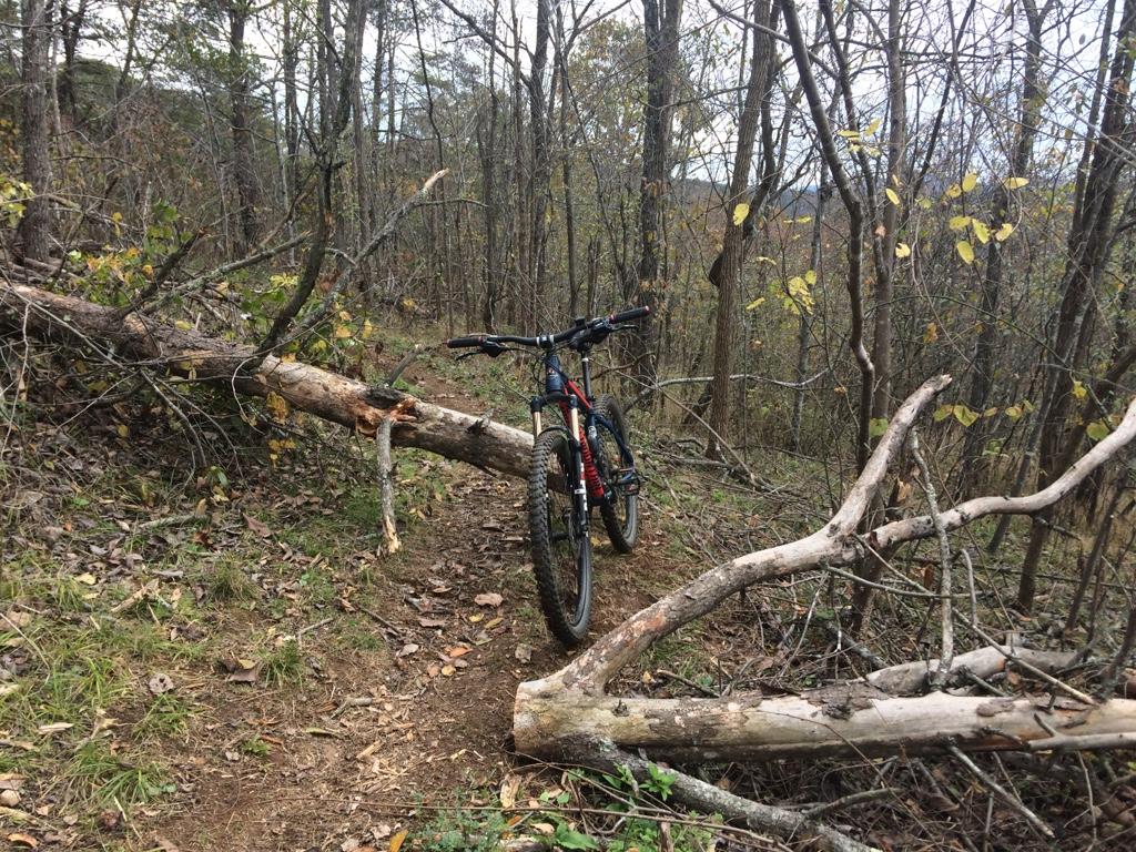 Mountain bike resting on a dirt trail obstructed by fallen logs, surrounded by trees and foliage in a wooded area. Alexander Mountain Bike Park mountain bike trail.