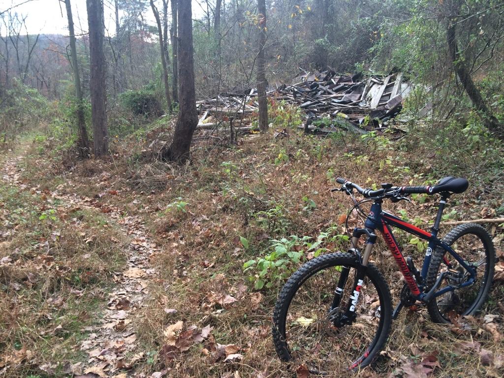 A mountain bike is parked on a dirt trail surrounded by trees, with an overgrown area in the background that features a pile of wood debris and discarded materials. The setting is natural and somewhat rustic, indicating a path that may be used for biking or hiking. Fallen leaves cover the ground, typical of a late autumn scene. Alexander Mountain Bike Park mountain bike trail.