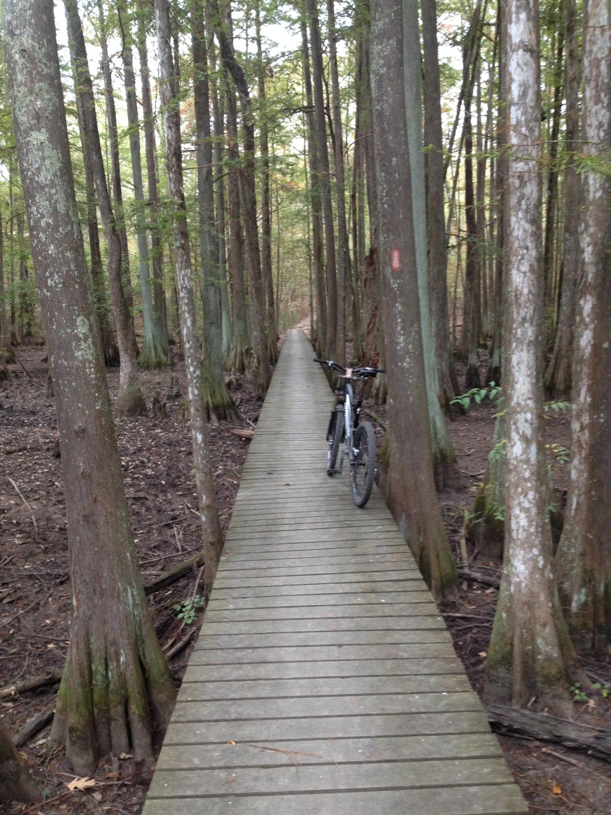 A narrow wooden boardwalk trails through a dense forest of tall trees, with a mountain bike resting on the side. The ground is wet and covered with leaves, and the tall trees have green moss on their trunks, creating a serene, natural atmosphere. Chicot State Park mountain bike trail.