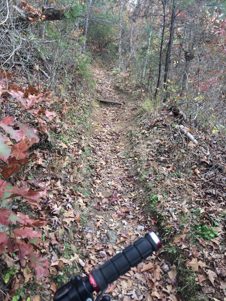 Narrow walking trail surrounded by trees and autumn leaves, with a partial view of a bike handlebar on the left side of the image. Alexander Mountain Bike Park mountain bike trail.