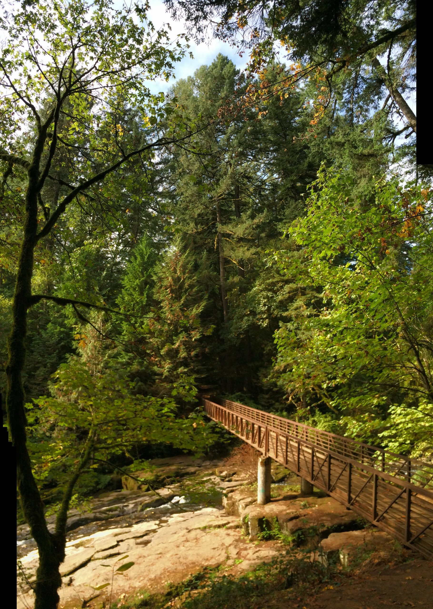 A bridge made of wood crosses a stream in a lush, green forest. Tall trees surround the area, with sunlight filtering through the leaves, creating a serene, natural setting. Rocks are visible near the water's edge. Round Lake mountain bike trail.