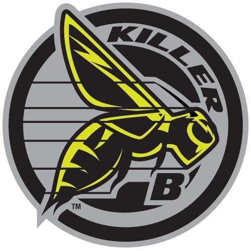 Norco Range Carbon: Logo of the Killer B's featuring a stylized yellow and black hornet with bold lines, set against a circular gray background. The word "KILLER" is displayed above the hornet, and the letter "B" is incorporated into the design.