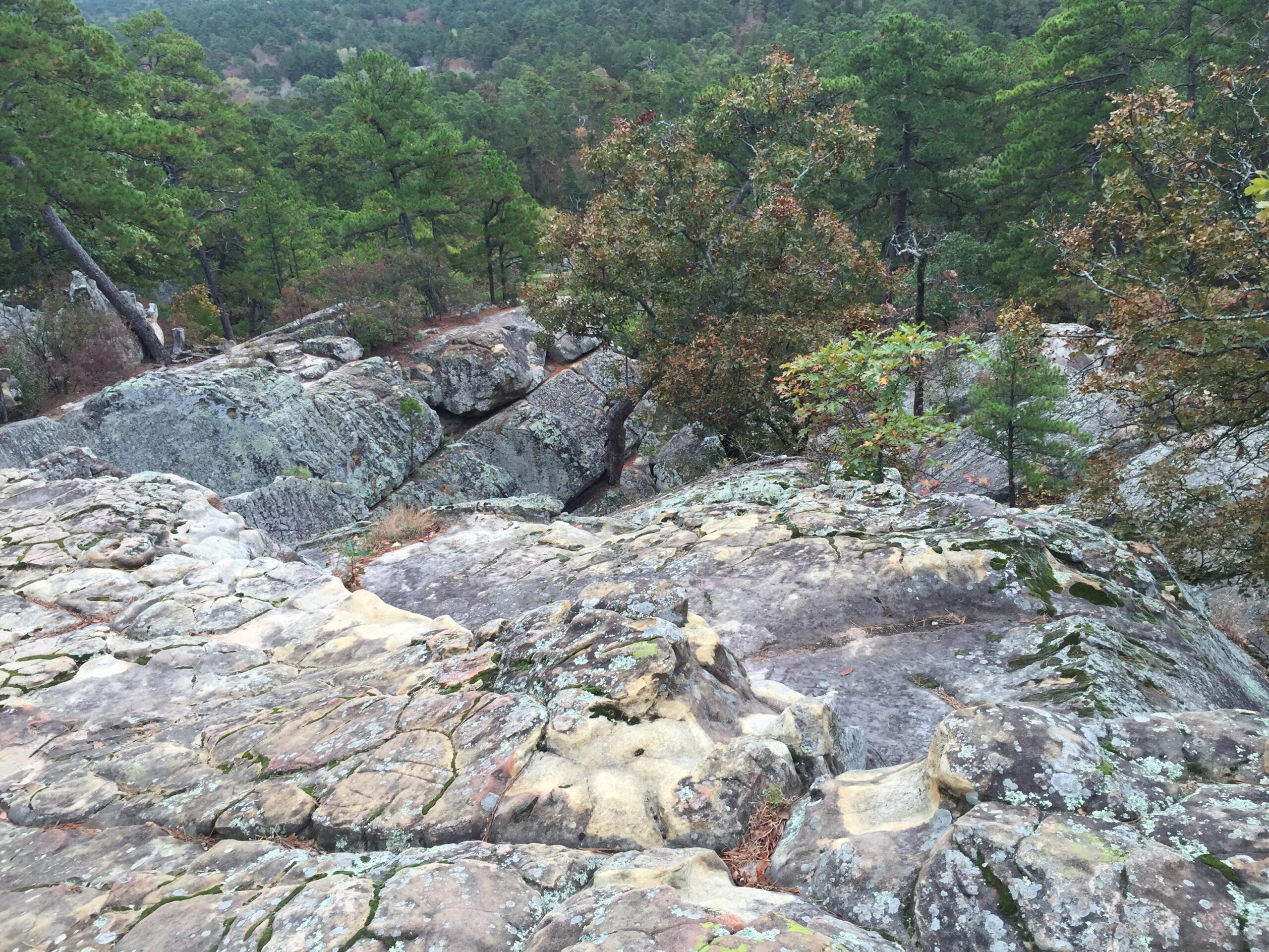 Rocky landscape featuring rugged terrain and scattered trees, with patches of moss and lichen on the rocks, set against a backdrop of lush green forests. Robbers Cave State Park mountain bike trail.