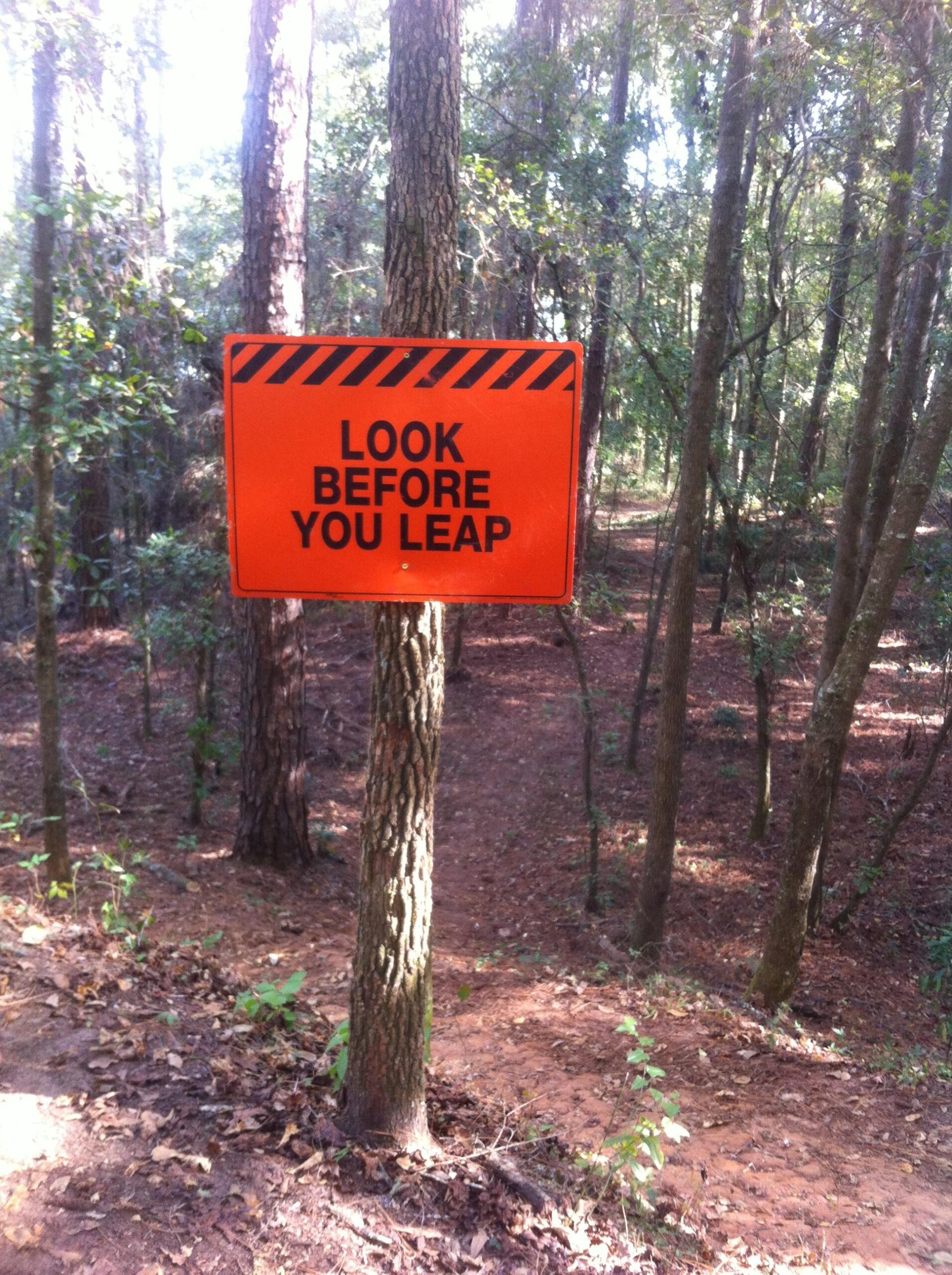 A bright orange sign with black warning stripes reading "LOOK BEFORE YOU LEAP," placed on a tree in a wooded area with trees and leafy undergrowth in the background. Cadillac mountain bike trail.