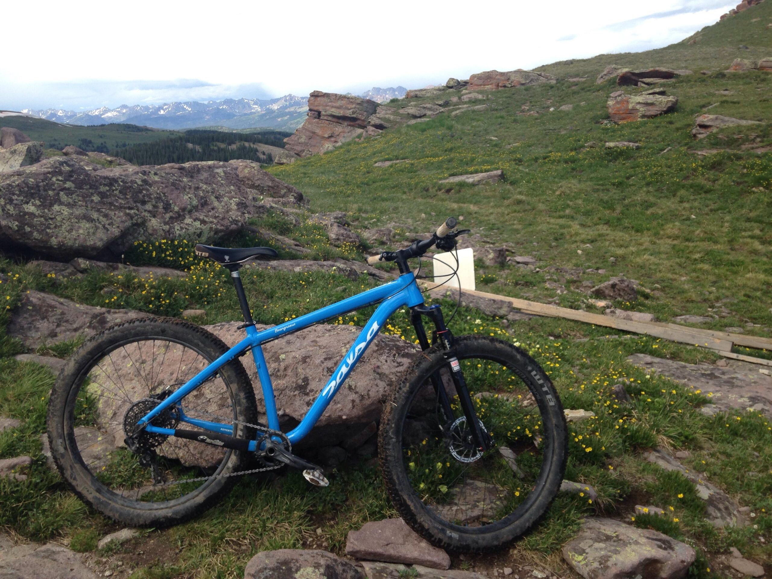 Salsa Beargrease: A blue mountain bike resting on rocky terrain, surrounded by green grass and yellow wildflowers, with mountains in the background under a cloudy sky.