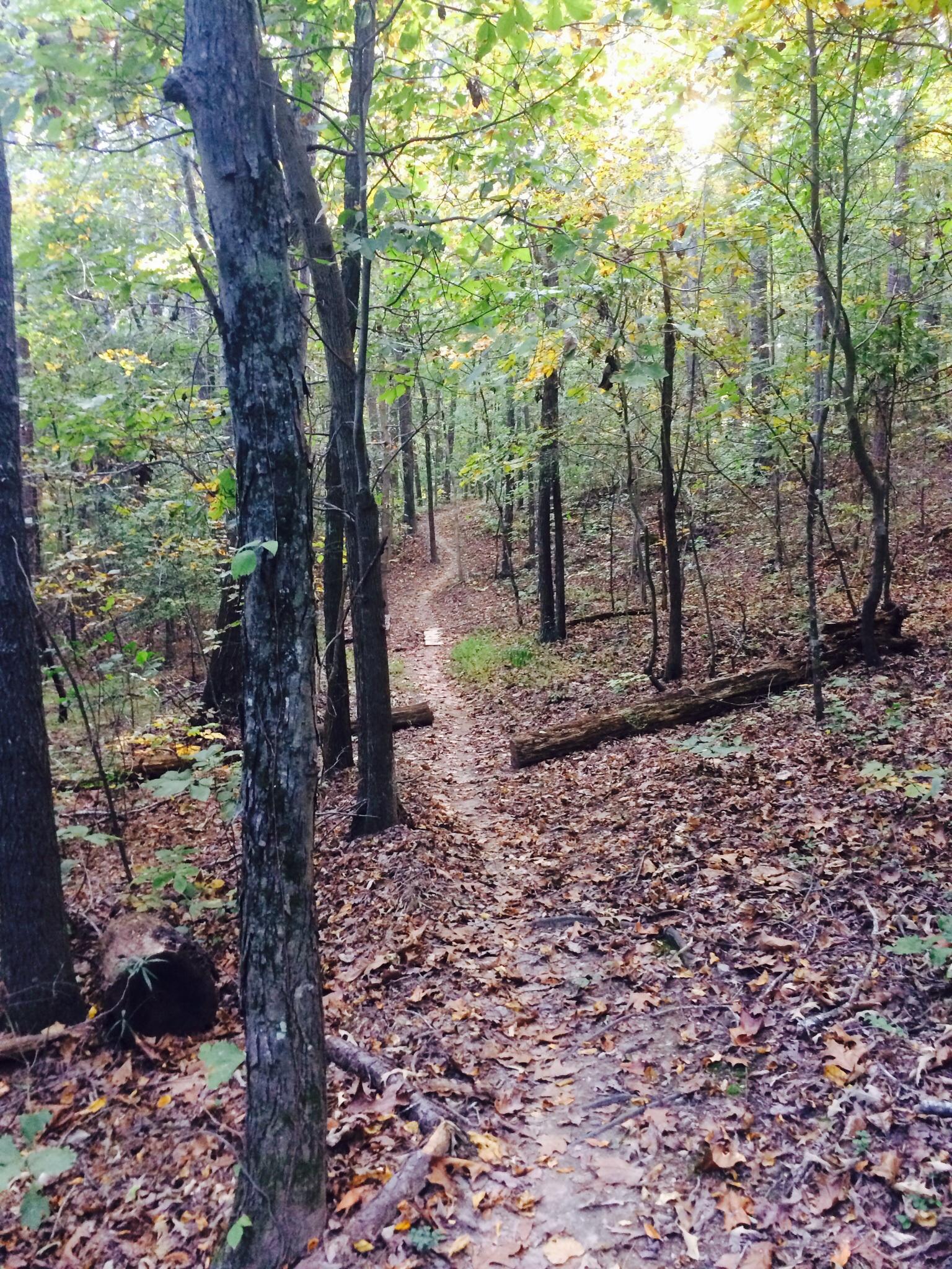 Water Tank Trail Mountain Bike Trail in Calhoun, Directions